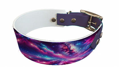 Collier bicolore large pour chien en BioThane® imprimé – Collection galaxie – 38/25 mm