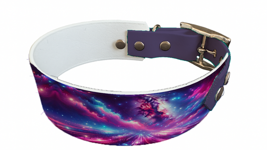 Collier bicolore large pour chien en BioThane® imprimé – Collection galaxie – 38/25 mm
