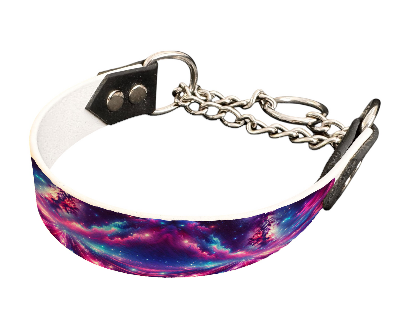Martingale pour chien en BioThane® imprimé – Collection galaxie – 25mm