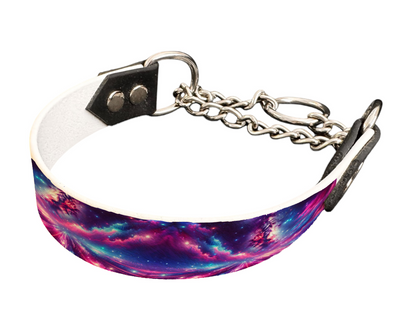 Martingale pour chien en BioThane® imprimé – Collection galaxie – 25mm