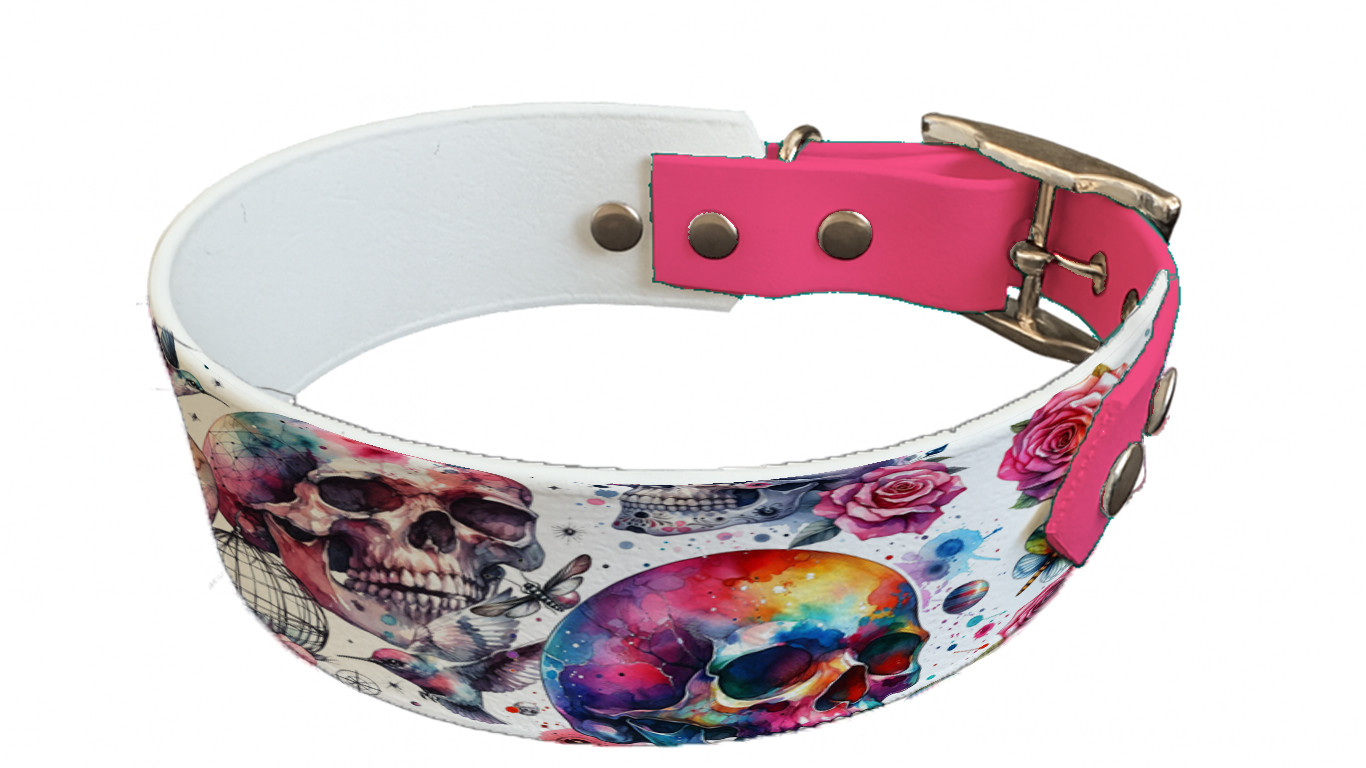 Collier bicolore large pour chien en BioThane® imprimé – Collection tête de mort– 38/25 mm