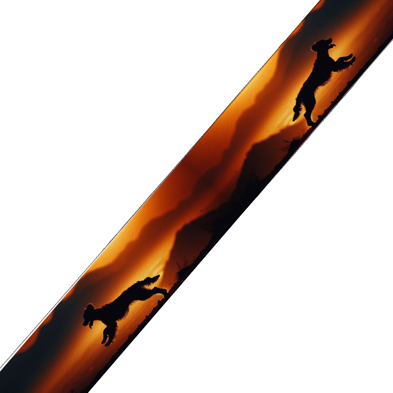 Collier large pour chien en BioThane® imprimé – Collection chiens– 38mm