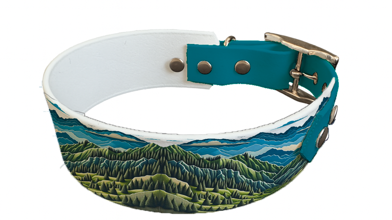 Collier bicolore large pour chien en BioThane® imprimé – Collection paysage– 38/25 mm