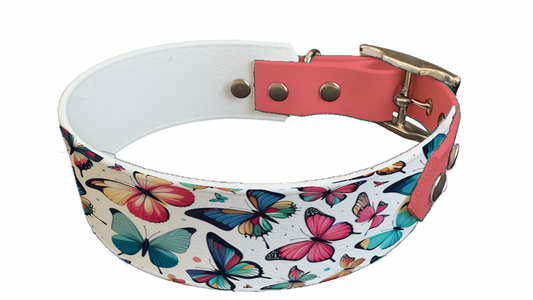 Collier bicolore large pour chien en BioThane® imprimé – Collection insectes– 38/25 mm