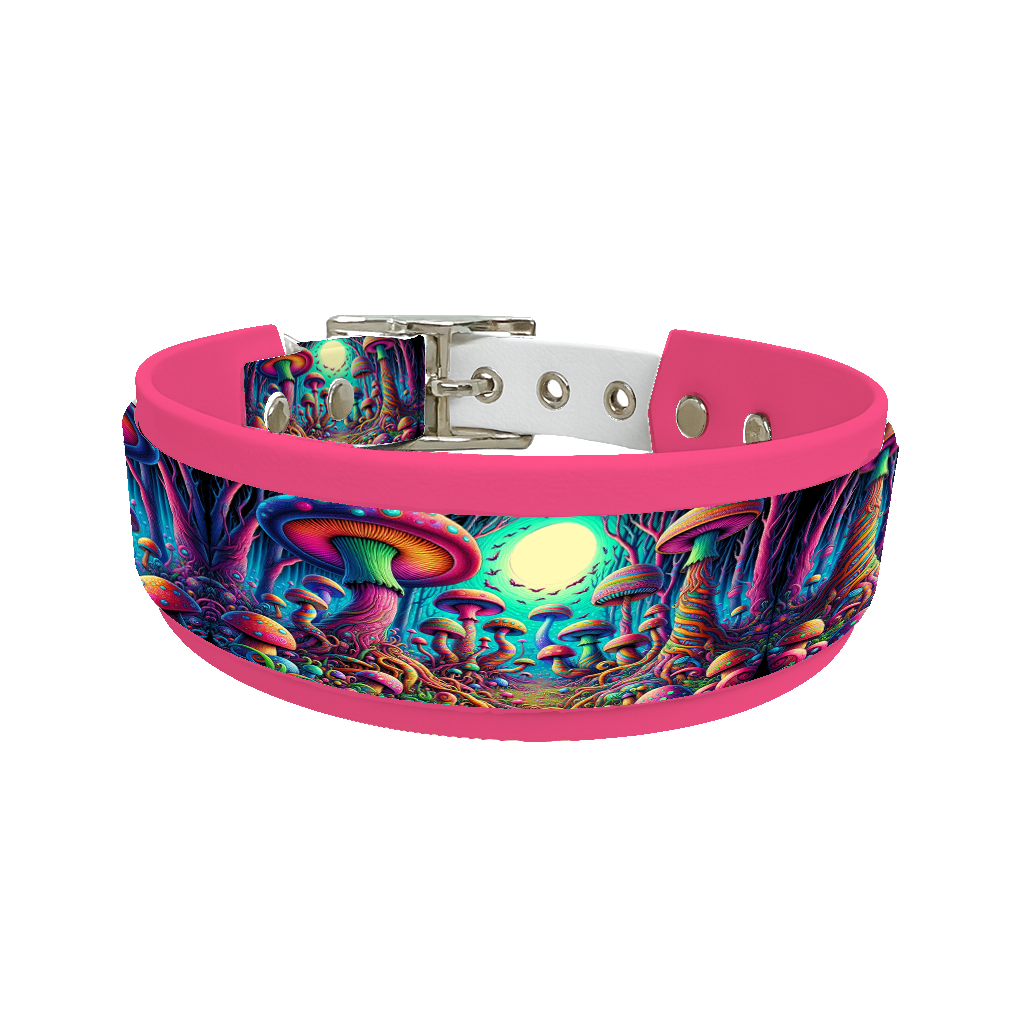 Collier double large pour chien en BioThane® imprimé – Collection forêt enchantée – 38/25 mm