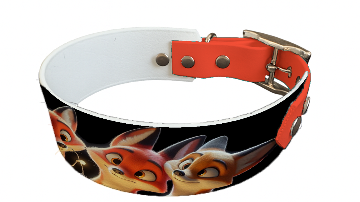 Collier bicolore large pour chien en BioThane® imprimé – Collection animaux pop/kawaii – 38/25 mm