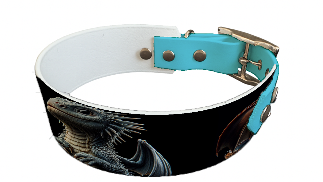 Collier bicolore large pour chien en BioThane® imprimé – Collection monstres et créatures imaginaires– 38/25 mm