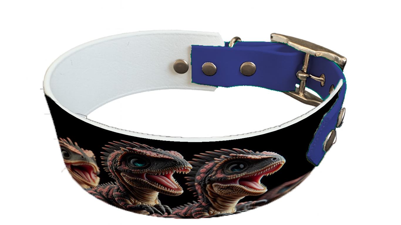 Collier bicolore large pour chien en BioThane® imprimé – Collection monstres et créatures imaginaires– 38/25 mm