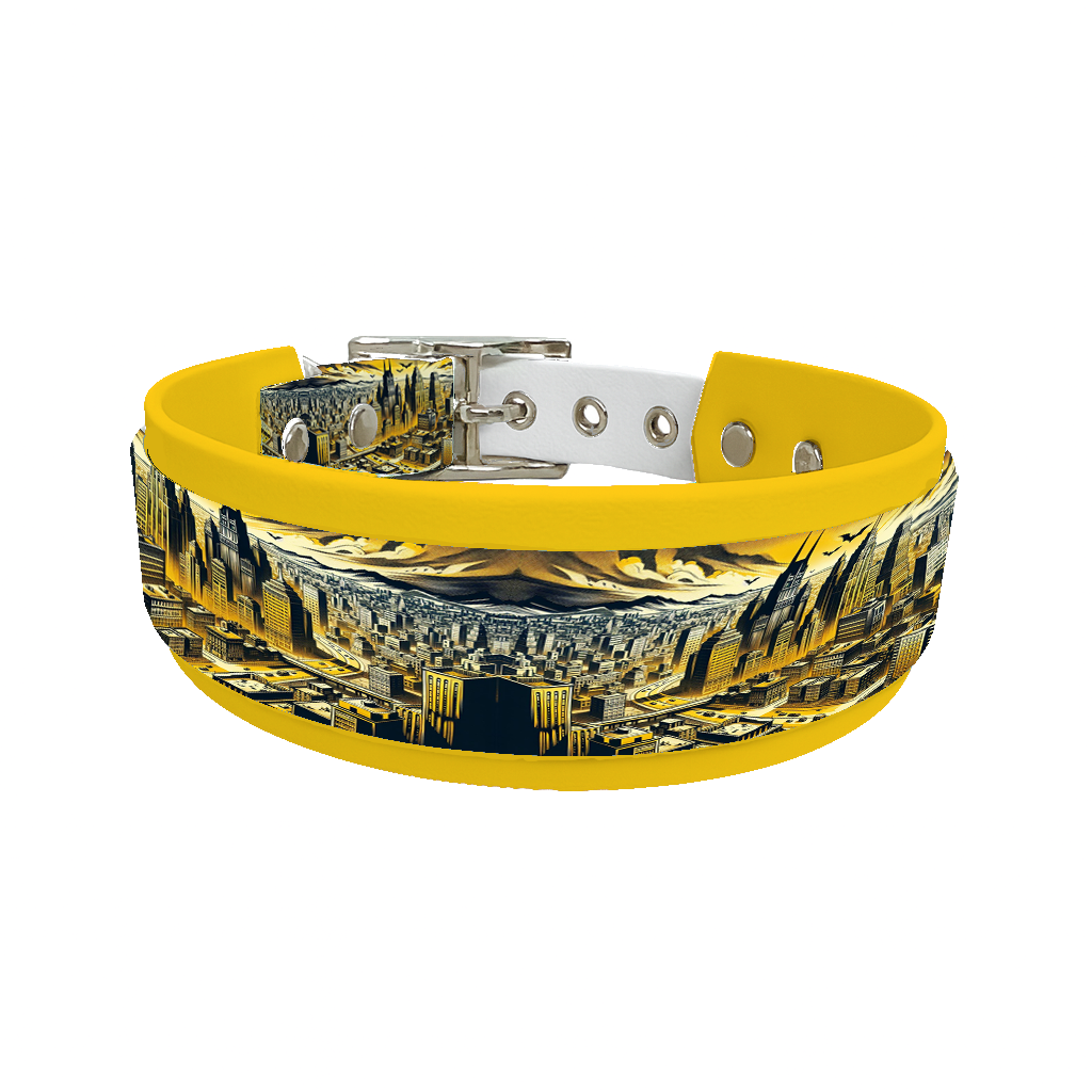 Collier double large pour chien en BioThane® imprimé – Collection pop art– 38/25 mm