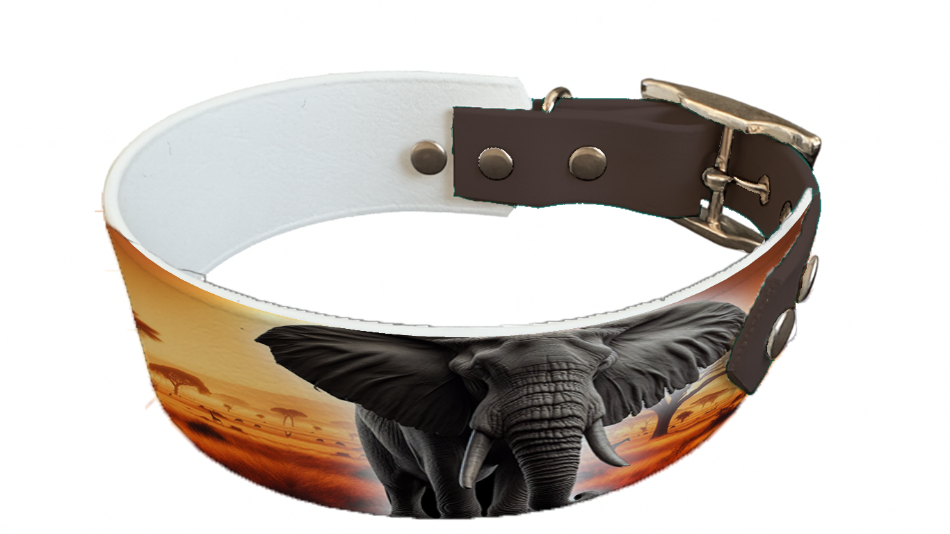 Collier bicolore large pour chien en BioThane® imprimé – Collection animaux sauvages– 38/25 mm