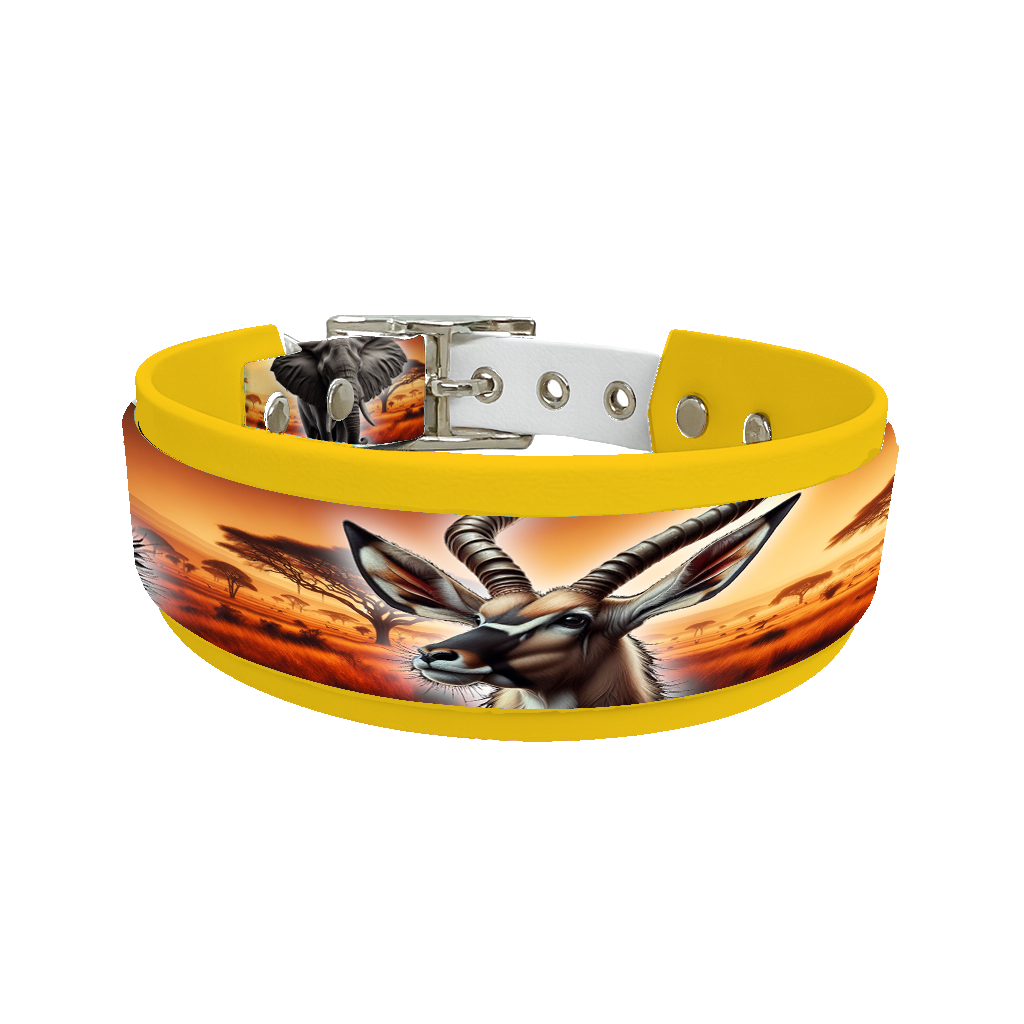 Collier double large pour chien en BioThane® imprimé – Collection animaux sauvages– 38/25 mm