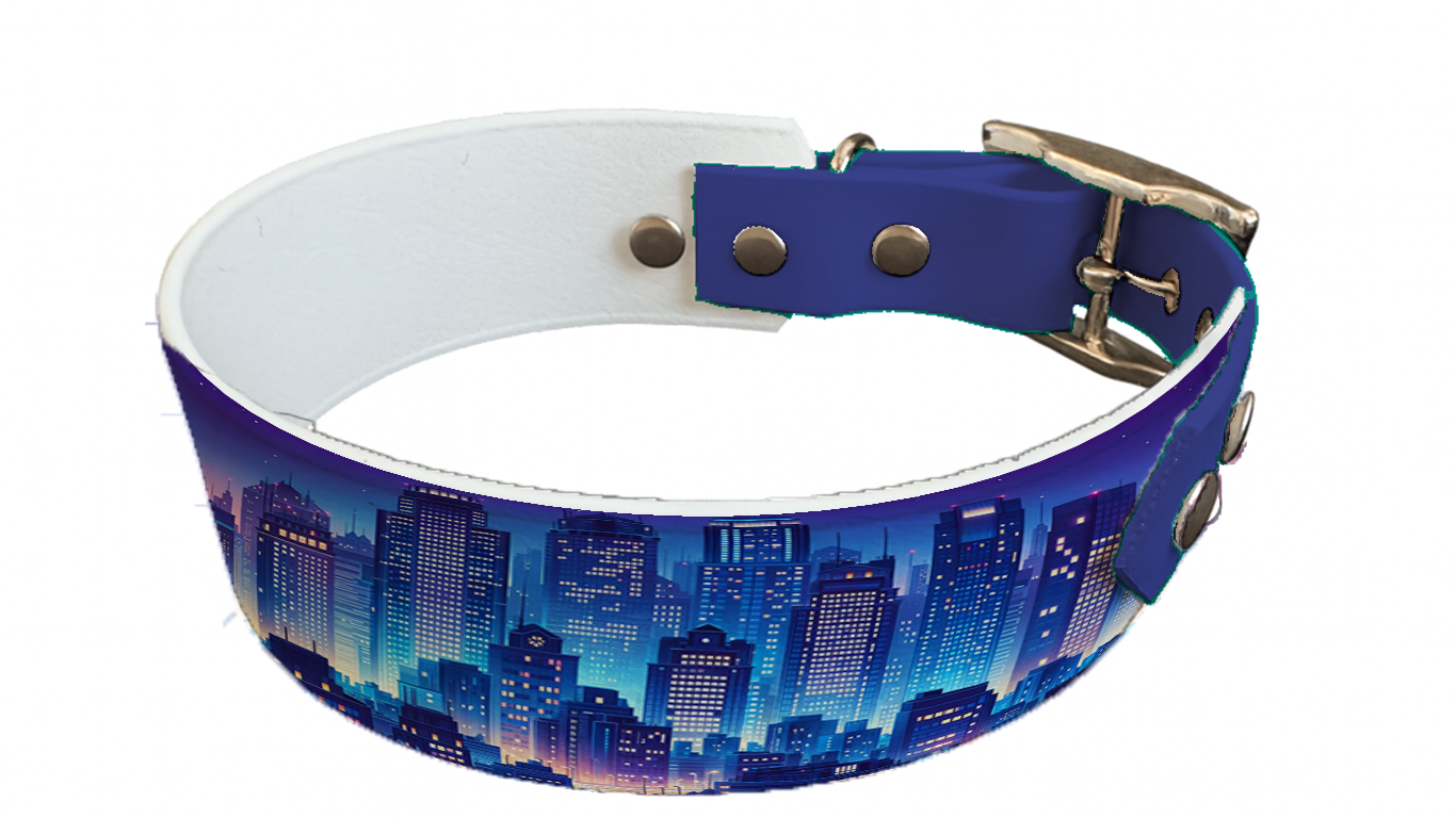 Collier bicolore large pour chien en BioThane® imprimé – Collection pop art– 38/25 mm