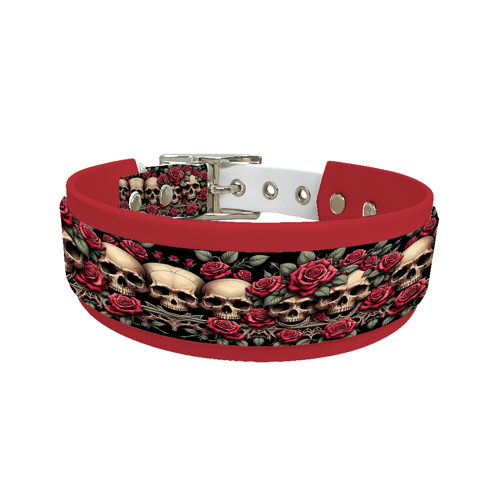 Collier double large pour chien en BioThane® imprimé – Collection tête de mort– 25/19 mm