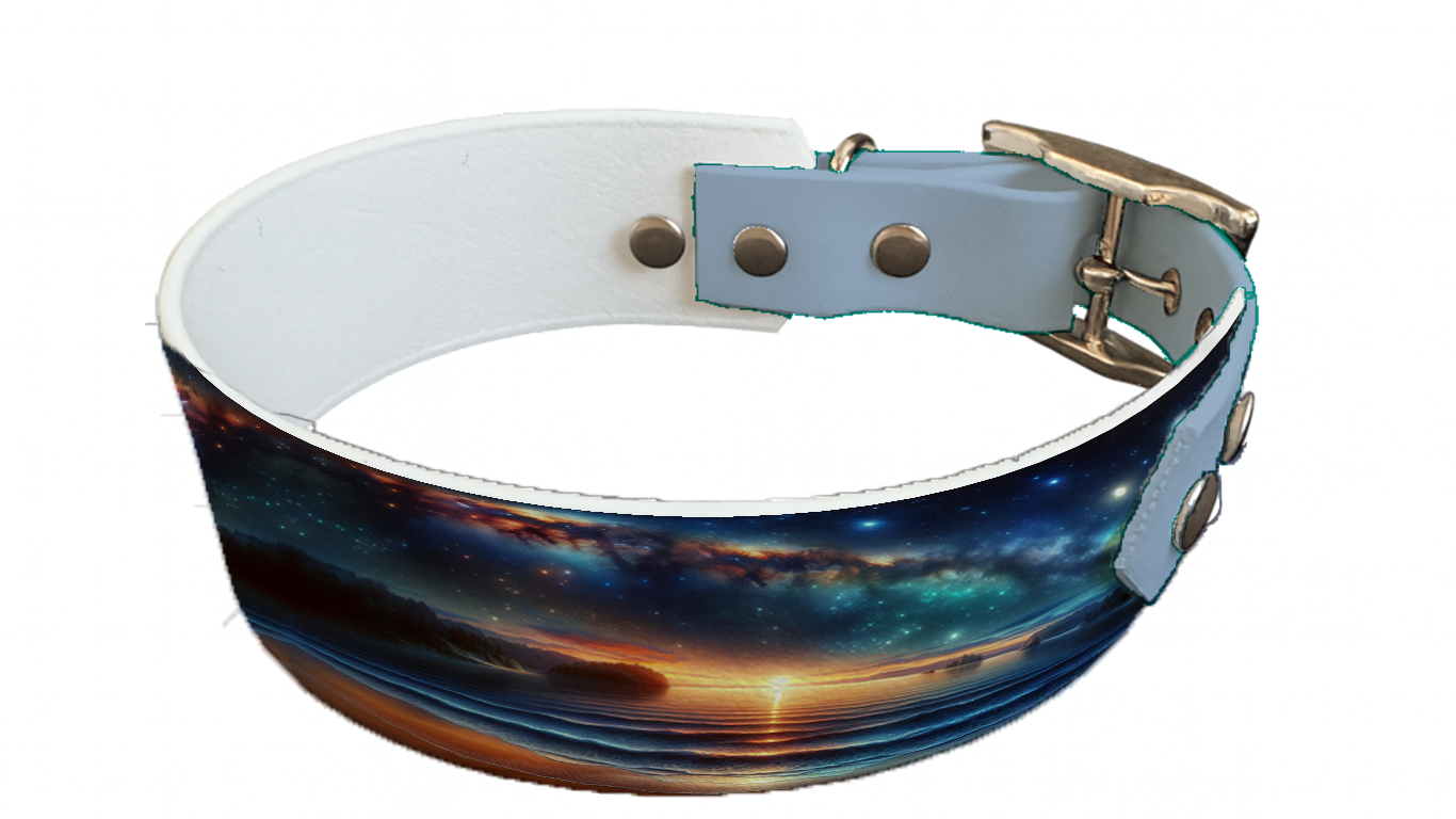 Collier bicolore large pour chien en BioThane® imprimé – Collection paysage– 38/25 mm
