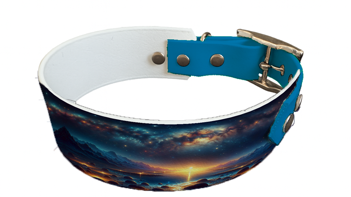 Collier bicolore large pour chien en BioThane® imprimé – Collection paysage– 38/25 mm