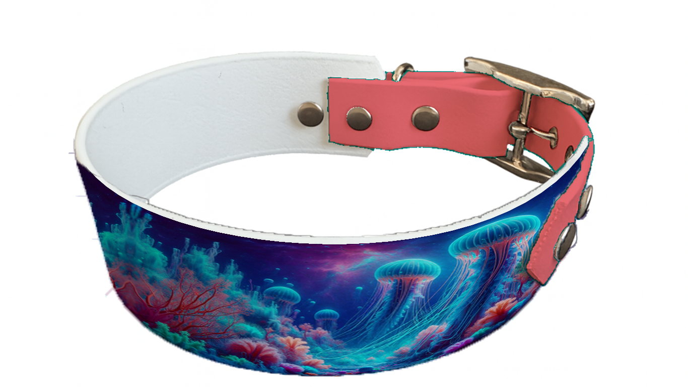 Collier bicolore large pour chien en BioThane® imprimé – Collection paysage– 38/25 mm