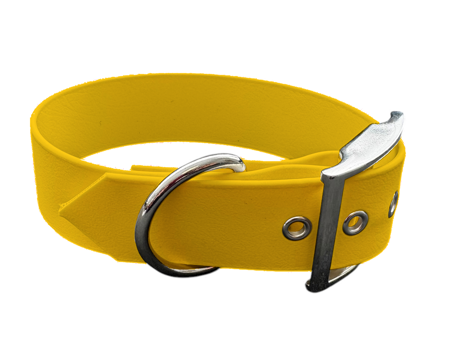 Collier chien 38 mm en Biothane – Personnalisable – Coloris au choix