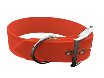 Collier chien 38 mm en Biothane – Personnalisable – Coloris au choix
