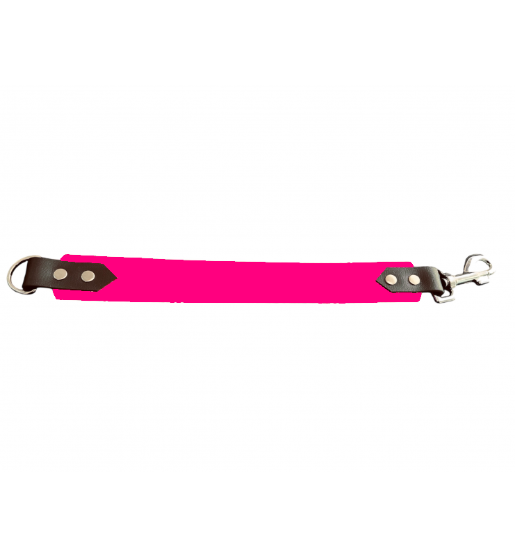 Attache laisse 38 mm en Biothane – Message personnalisable