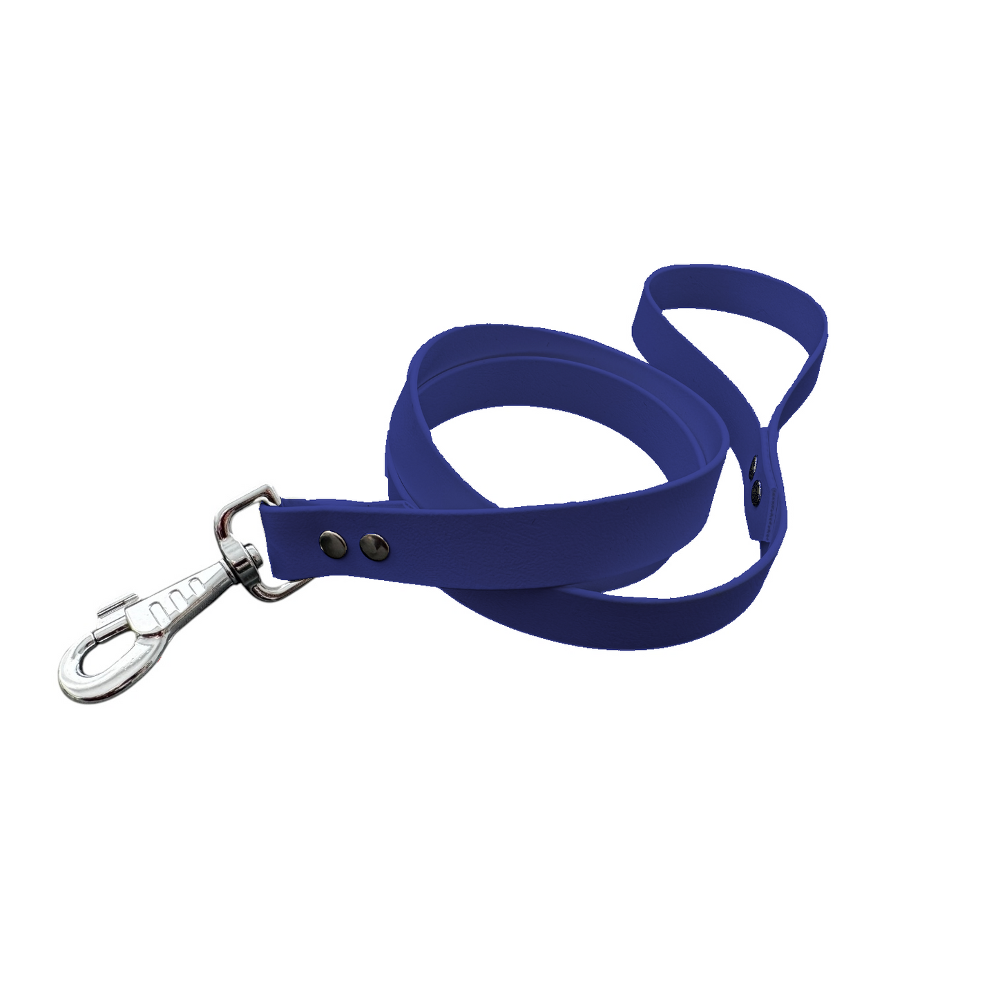 Laisse Classique en BioThane