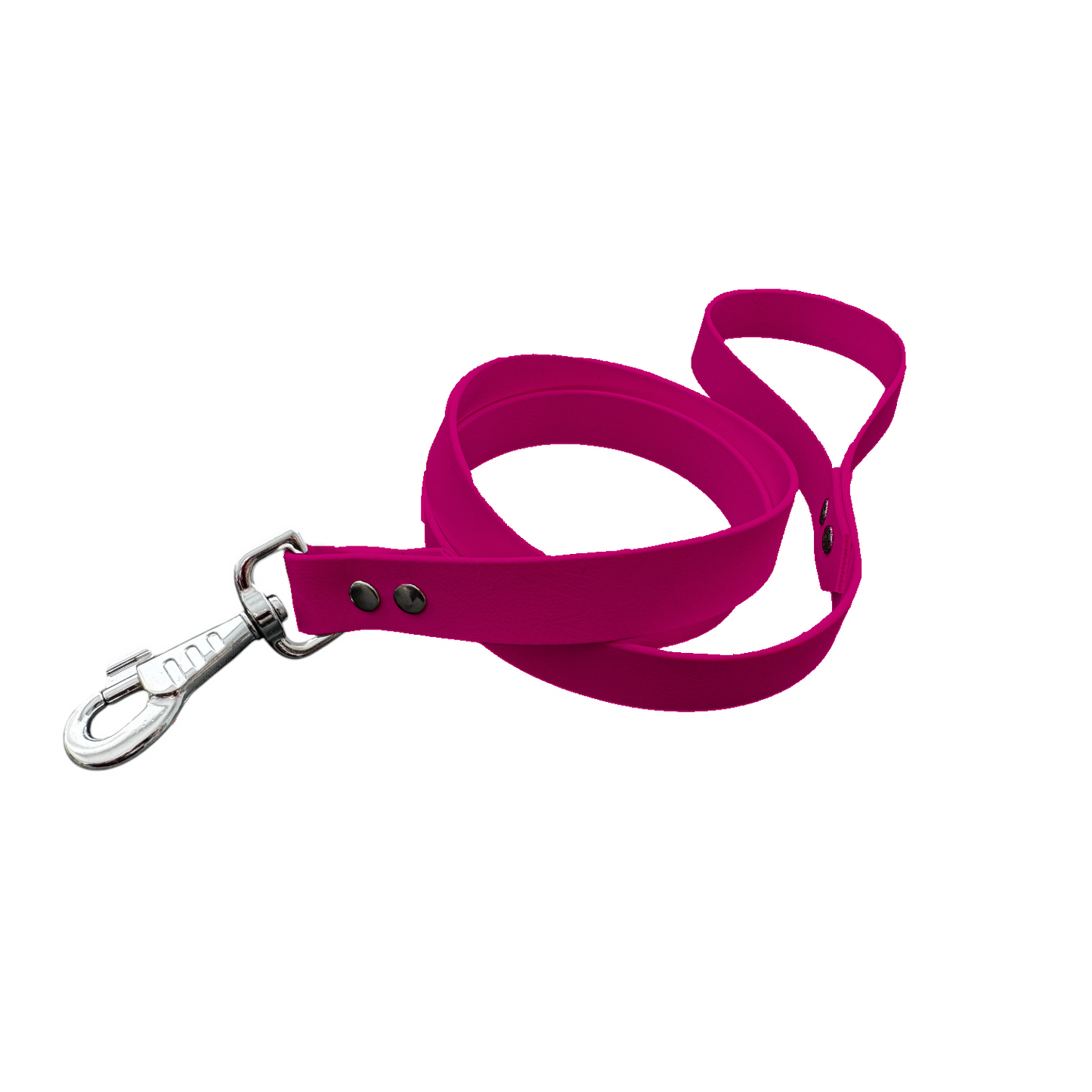 Laisse Classique en BioThane