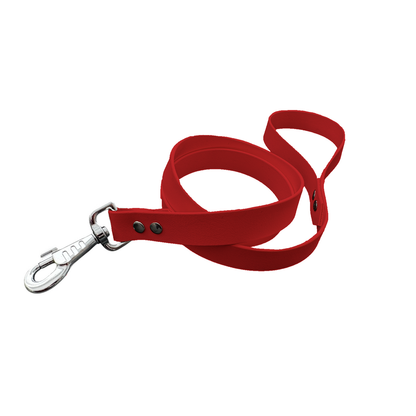 Laisse Classique en BioThane