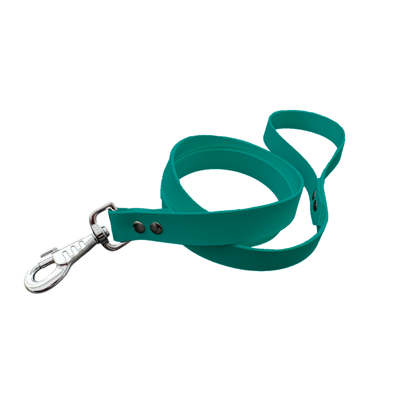 Laisse Classique en BioThane