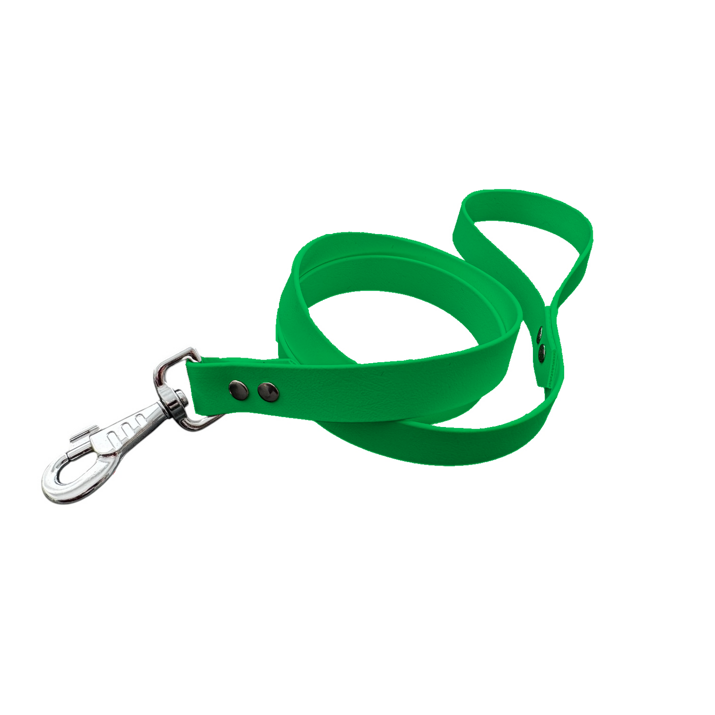 Laisse Classique en BioThane