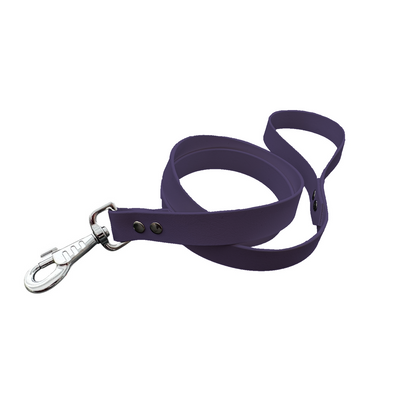 Laisse Classique en BioThane