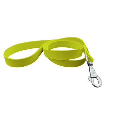Laisse Classique en BioThane