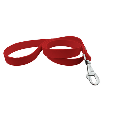 Laisse Classique en BioThane