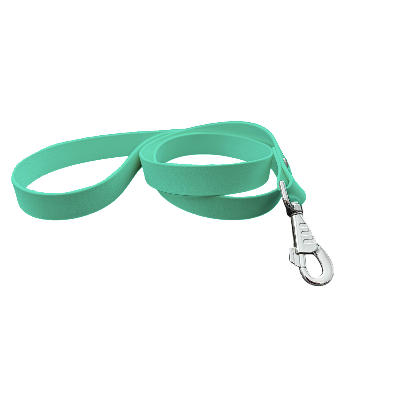 Laisse Classique en BioThane