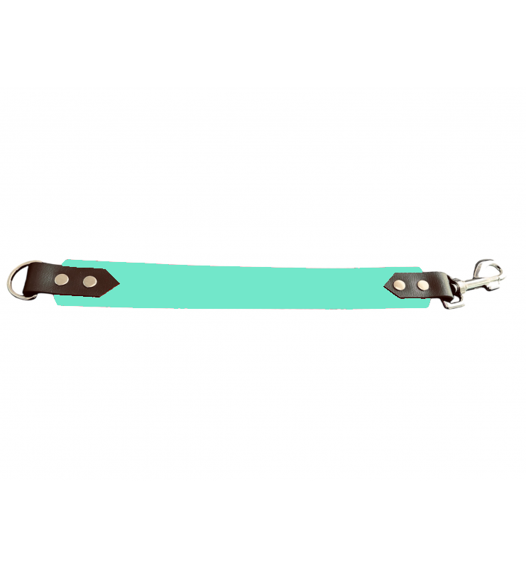 Attache laisse 38 mm en Biothane – Message personnalisable