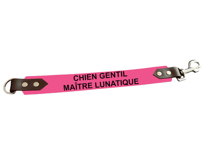 L'atelier du Fourmilier Attache laisse Attache laisse à messages, message, coloris et largeur au choix