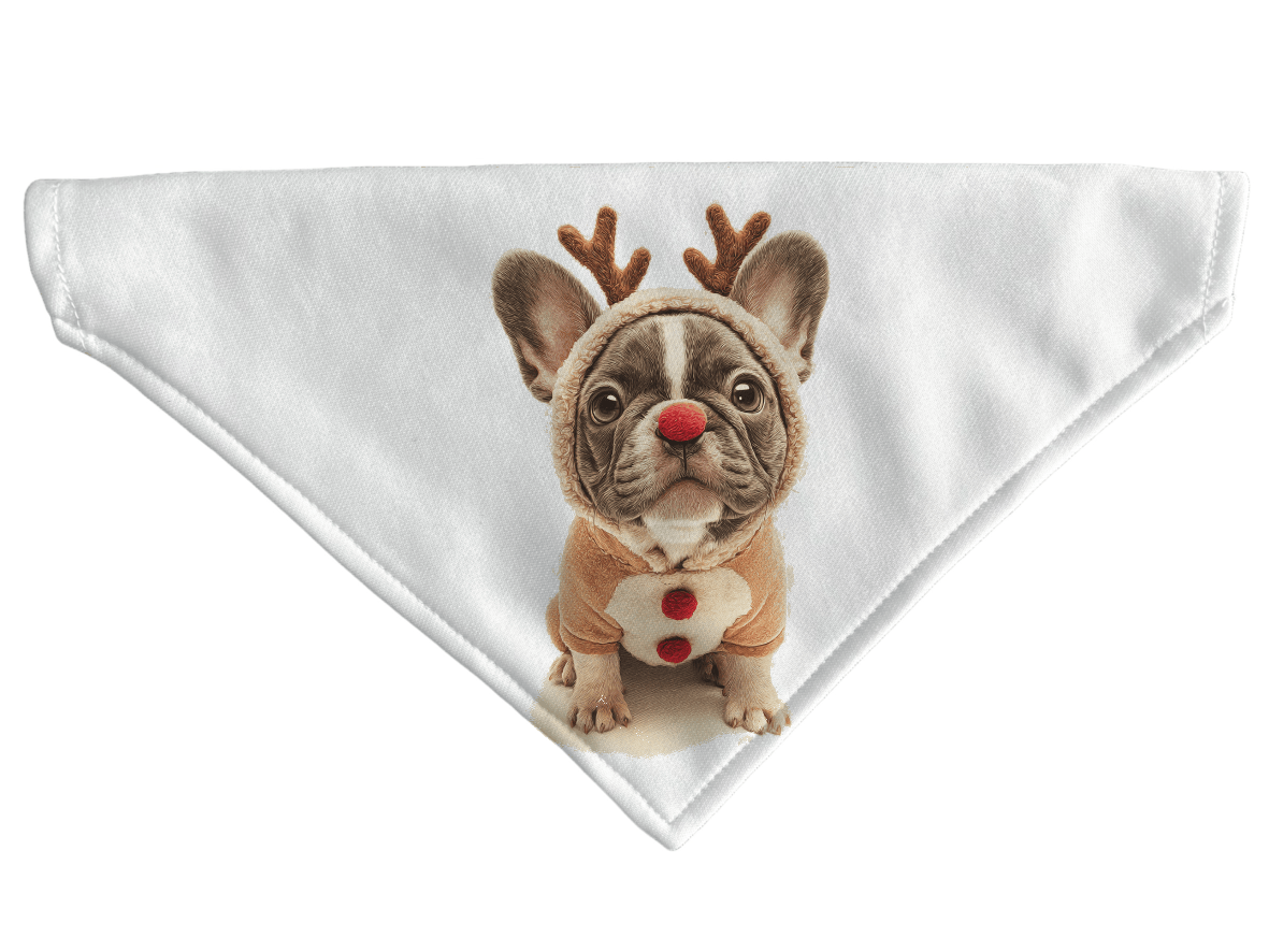 L'atelier du Fourmilier Bandana pour chien Bandana de Noël pour chien – Accessoire festif