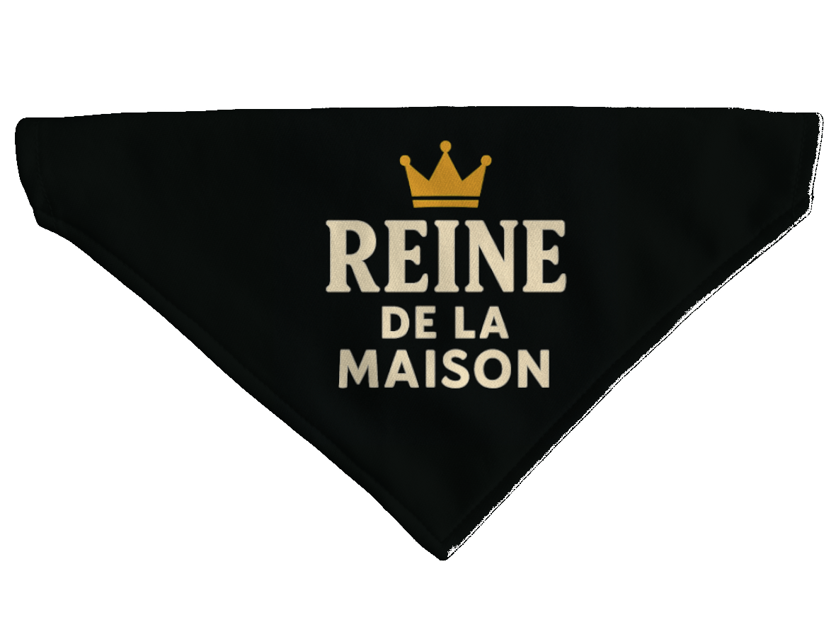 L'atelier du Fourmilier Bandana pour chien Bandana pour chien Funny dog – 4 tailles (S, M, L, XL) – Collier inclus et compatible BioThane