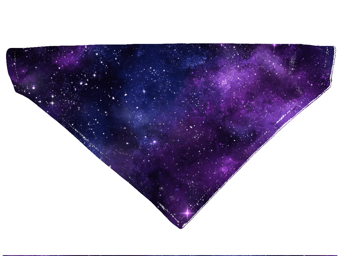L'atelier du Fourmilier Bandana pour chien Bandana pour chien Galaxie – 4 tailles (S, M, L, XL) – Collier inclus & compatible BioThane