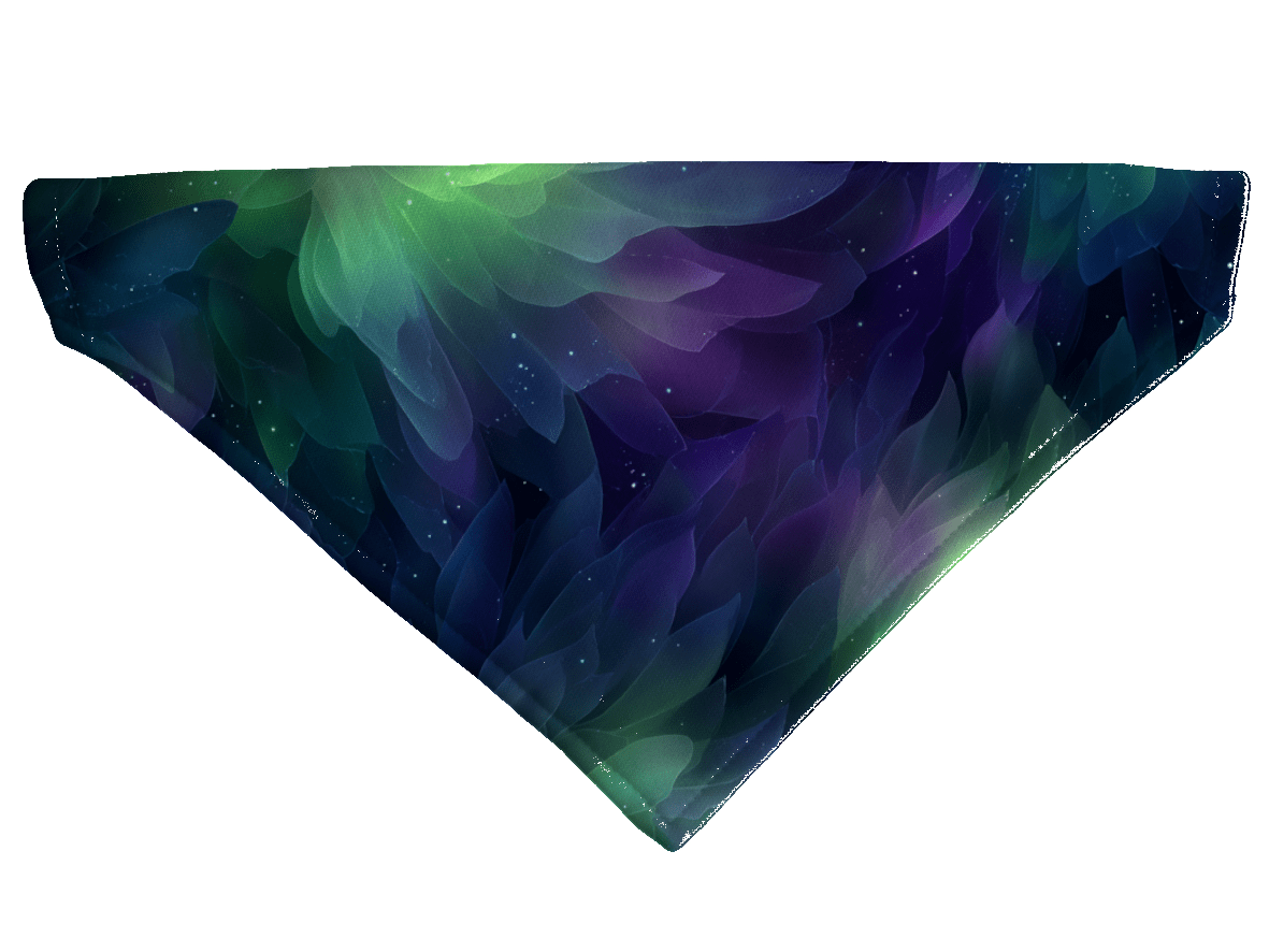 L'atelier du Fourmilier Bandana pour chien Bandana pour chien Galaxie – 4 tailles (S, M, L, XL) – Collier inclus & compatible BioThane
