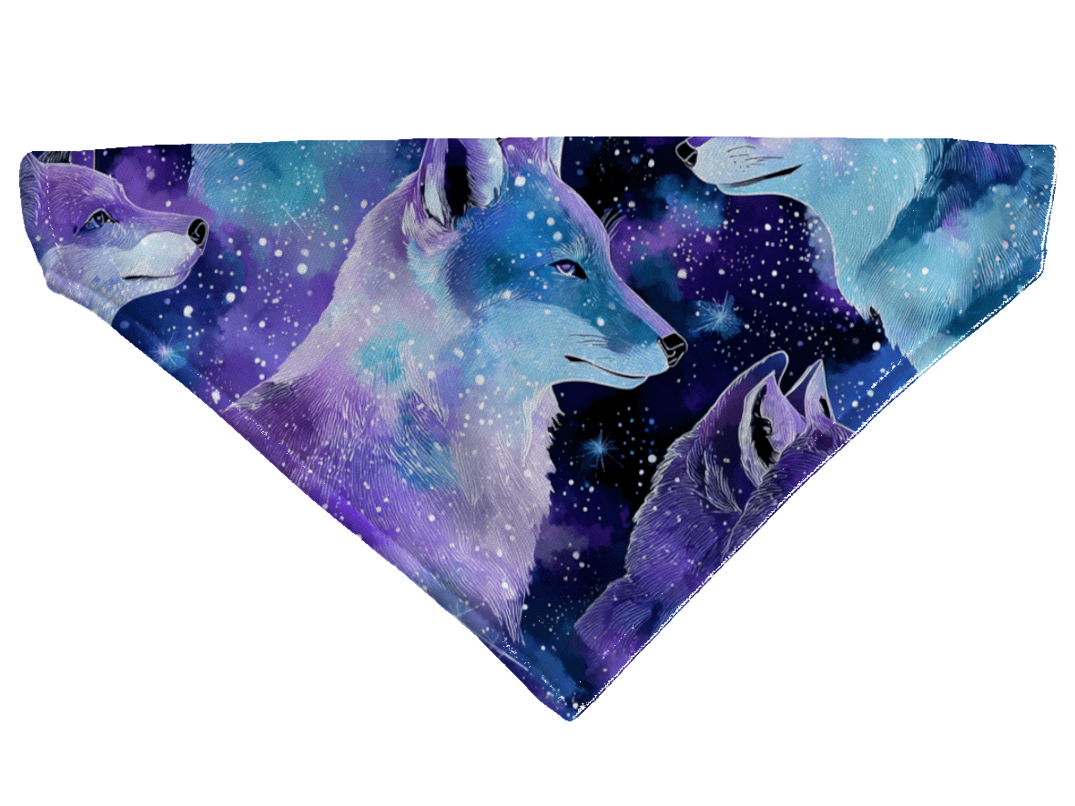 L'atelier du Fourmilier Bandana pour chien Bandana pour chien Galaxie – 4 tailles (S, M, L, XL) – Collier inclus & compatible BioThane