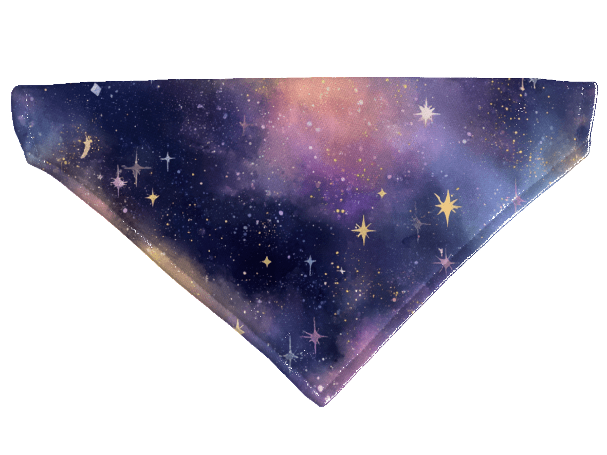 L'atelier du Fourmilier Bandana pour chien Bandana pour chien Galaxie – 4 tailles (S, M, L, XL) – Collier inclus & compatible BioThane