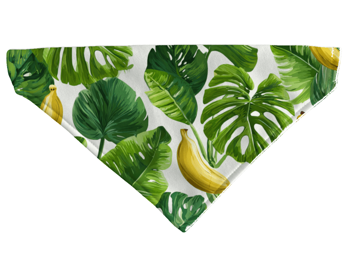 L'atelier du Fourmilier Bandana pour chien Bandana pour chien Nature – 4 tailles (S, M, L, XL) – Collier inclus & compatible BioThane