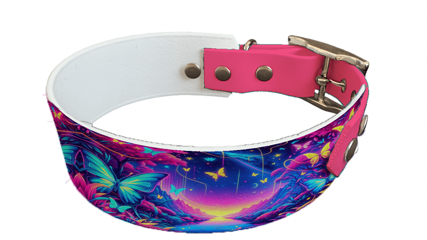 L'atelier du Fourmilier collier bicolore 102 Collier bicolore large pour chien en BioThane® imprimé – Collection insectes– 38/25 mm