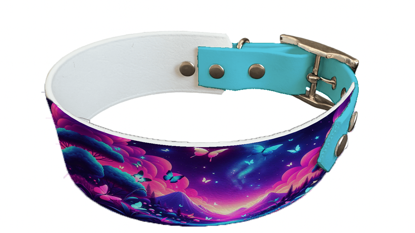 L'atelier du Fourmilier collier bicolore 103 Collier bicolore large pour chien en BioThane® imprimé – Collection insectes– 38/25 mm