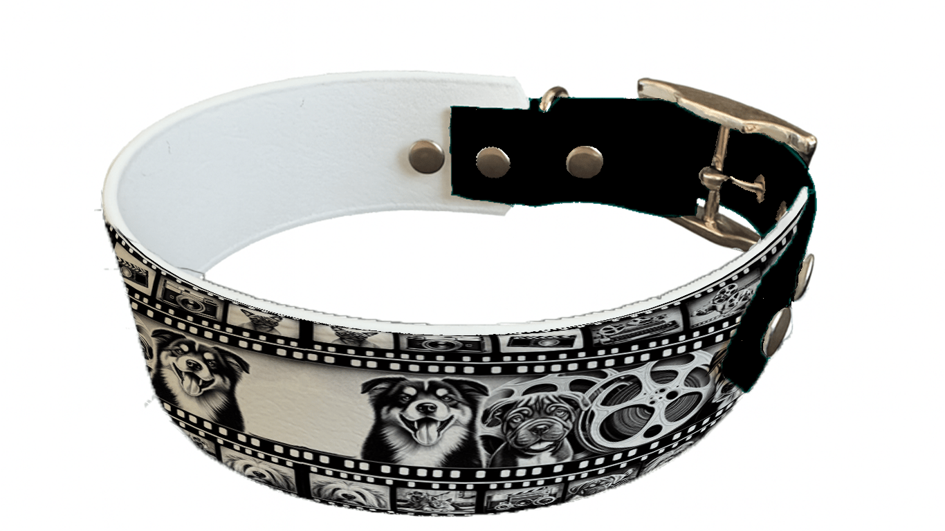 L'atelier du Fourmilier collier bicolore 105 Collier bicolore large pour chien en BioThane® imprimé – Collection chiens– 38/25 mm