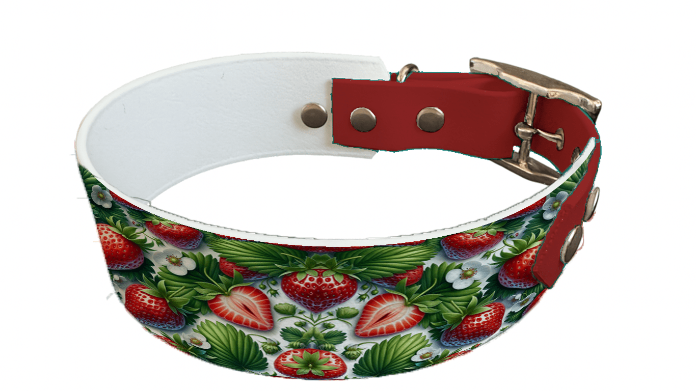 L'atelier du Fourmilier collier bicolore 107 Collier bicolore large pour chien en BioThane® imprimé – Collection gourmandise – 38/25 mm