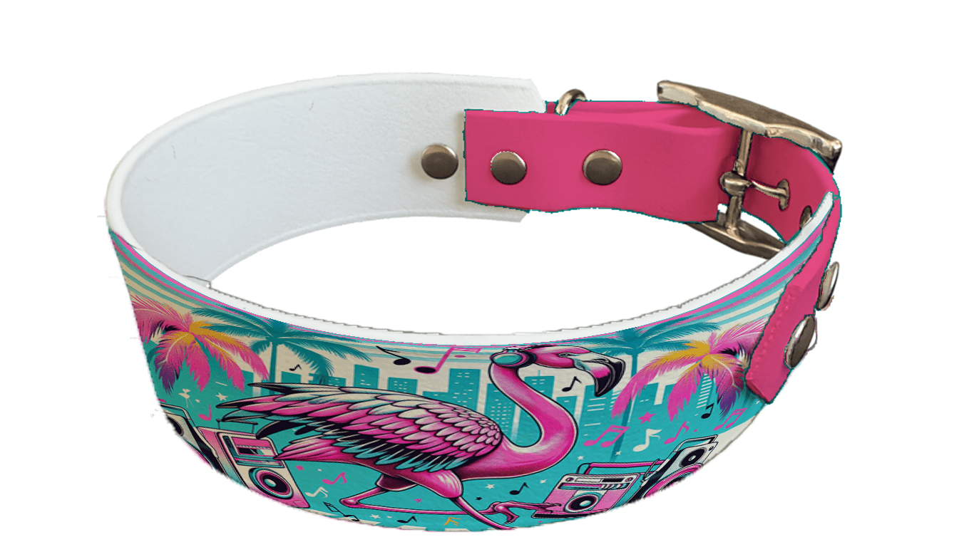 L'atelier du Fourmilier collier bicolore 108 Collier bicolore large pour chien en BioThane® imprimé – Collection pop art– 38/25 mm