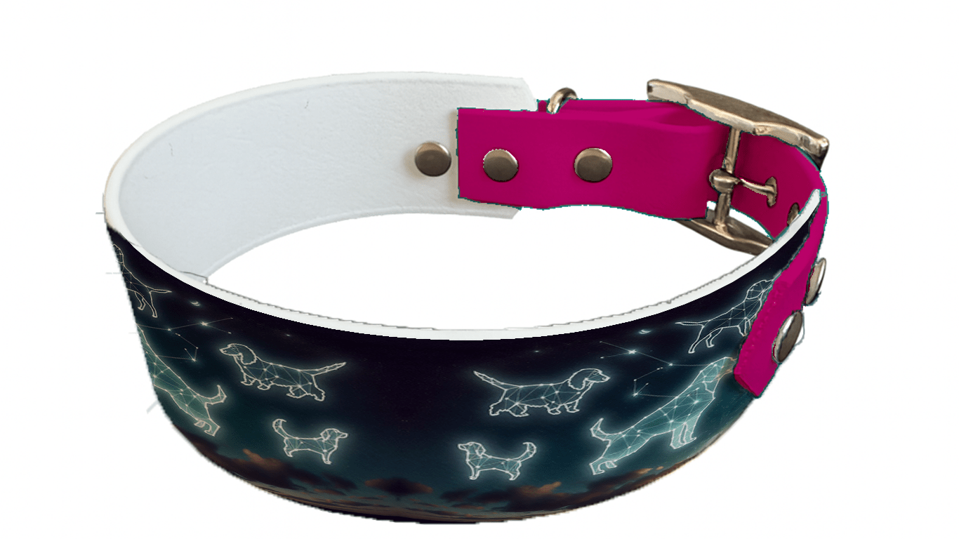 L'atelier du Fourmilier collier bicolore 111 Collier bicolore large pour chien en BioThane® imprimé – Collection galaxie – 38/25 mm