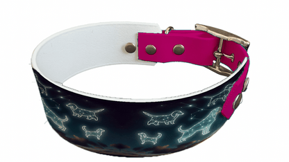 L'atelier du Fourmilier collier bicolore 111 Collier bicolore large pour chien en BioThane® imprimé – Collection galaxie – 38/25 mm