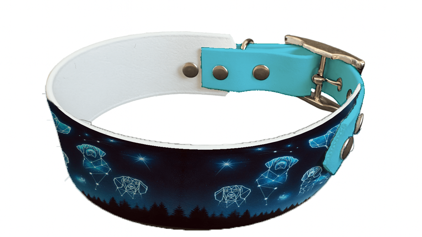 L'atelier du Fourmilier collier bicolore 113 Collier bicolore large pour chien en BioThane® imprimé – Collection galaxie – 38/25 mm