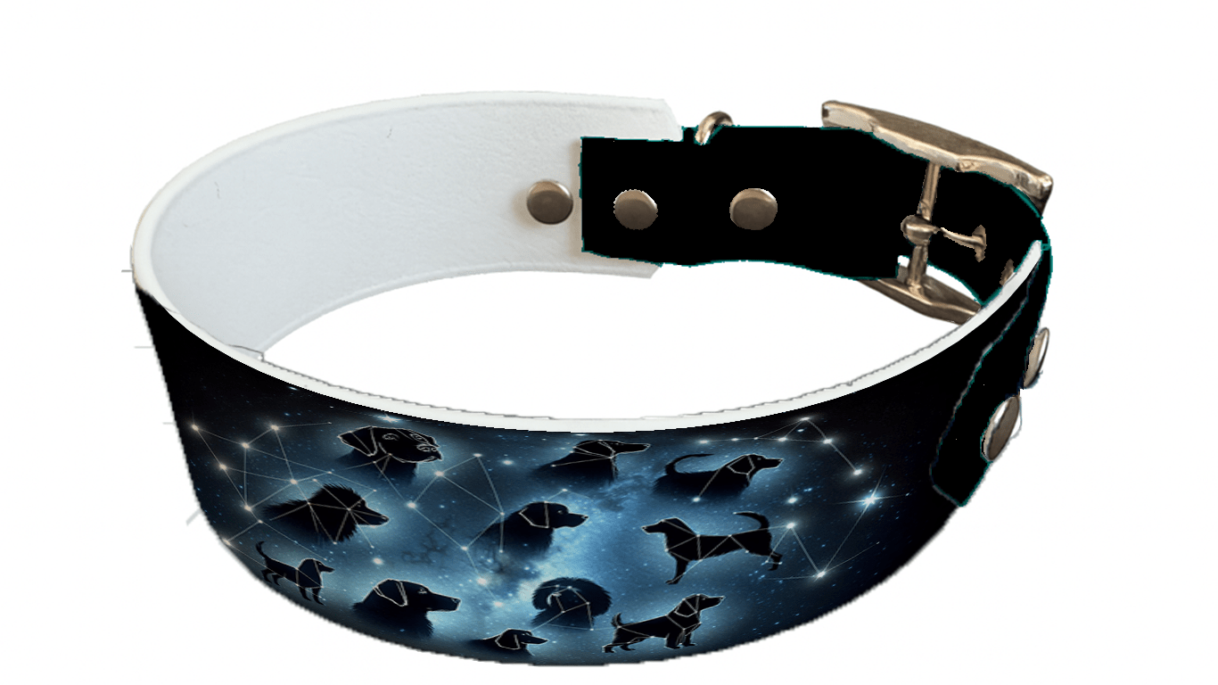 L'atelier du Fourmilier collier bicolore 114 Collier bicolore large pour chien en BioThane® imprimé – Collection galaxie – 38/25 mm